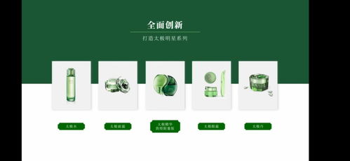 上海家化發布2020品牌戰略規劃，多品牌推出抗疫產品并強化文化傳播